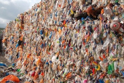废弃塑料瓶回收
